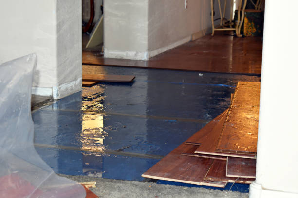 Professional Water Damage Restoration technician working in Landers, CA